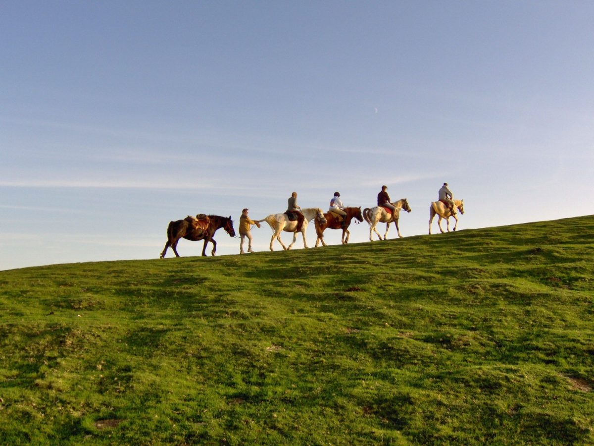 Ferme équestre Urkodea