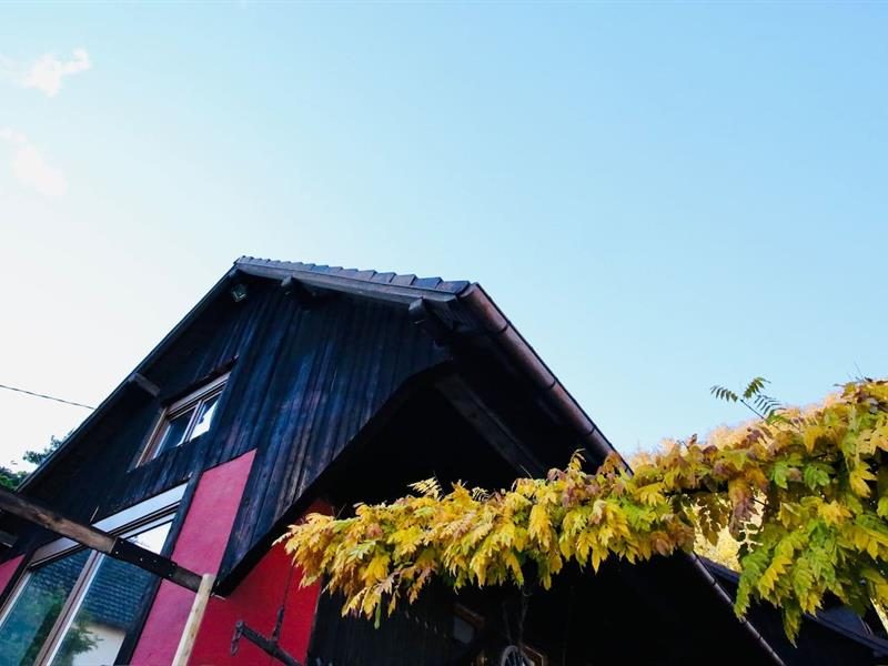 Gite Au Bois du Prince