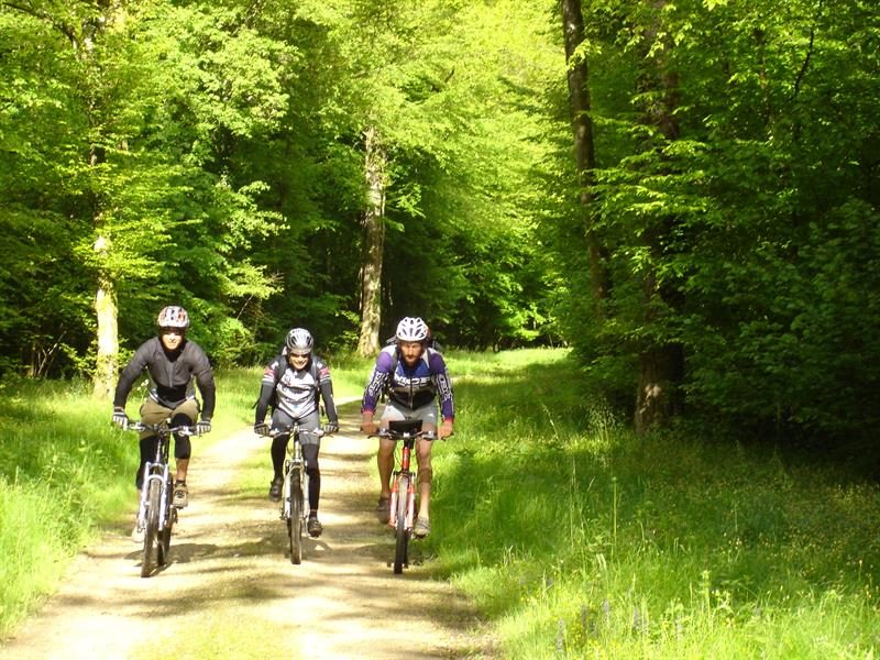 Espace VTT Hautes Vosges Gérardmer