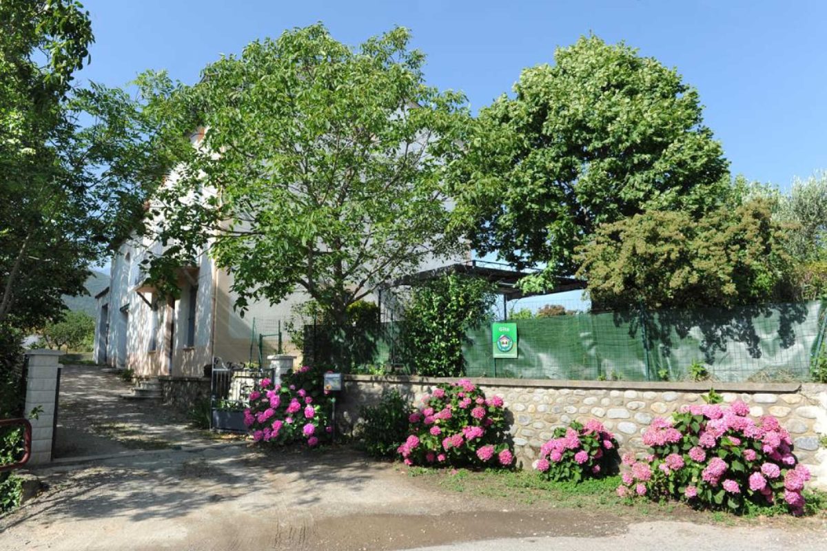 MAS DE L' ESTRADE