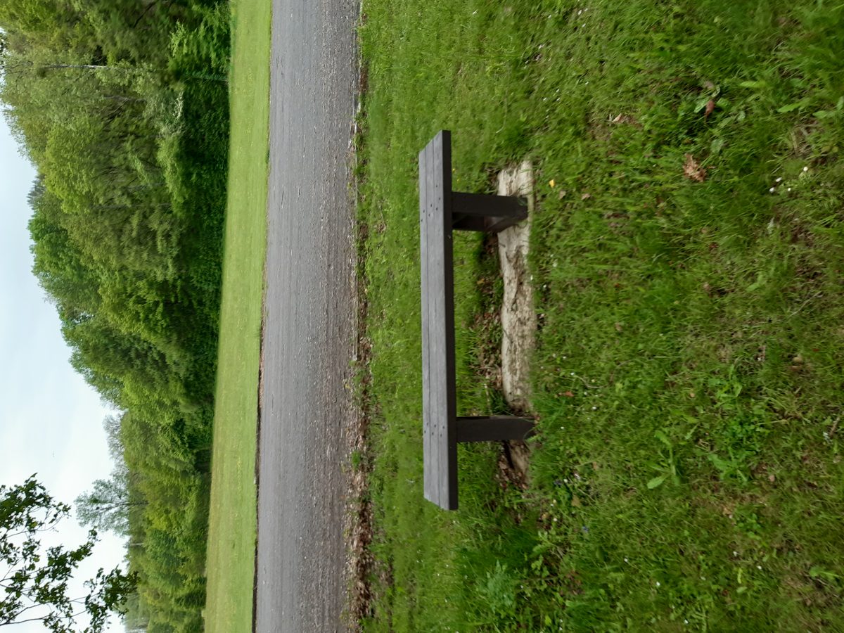 Aire de pique nique - Mouterre-sur-Blourde