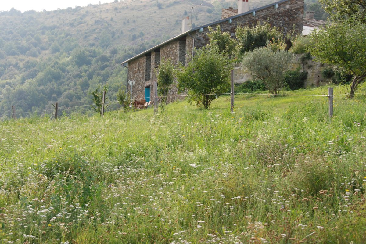 LA PASTORALE