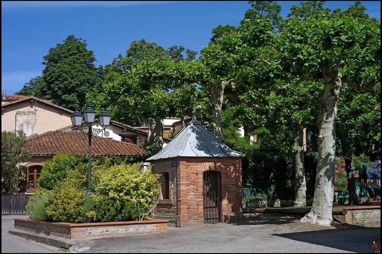 MARCHÉ DE THIL