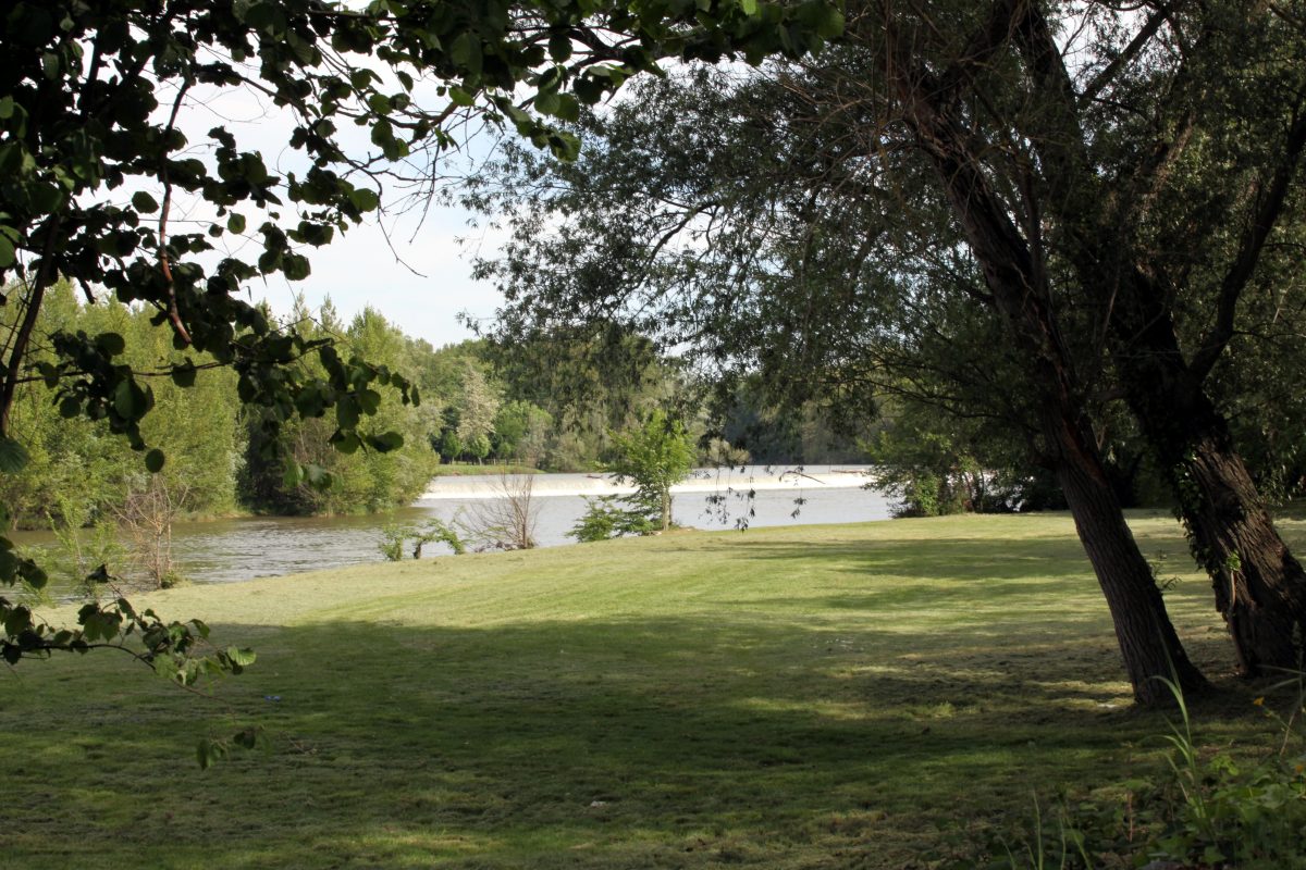 BOIS DE NOTRE-DAME