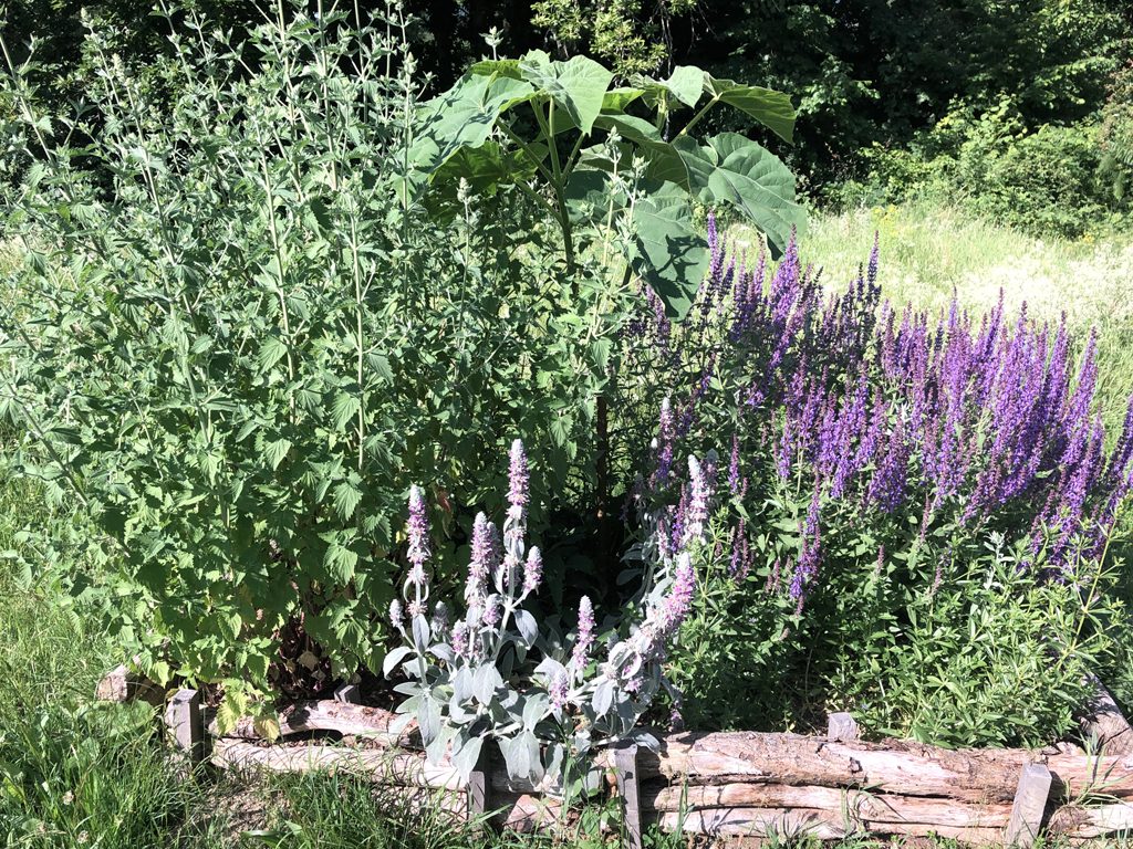 Main Verte et Main Bleue
