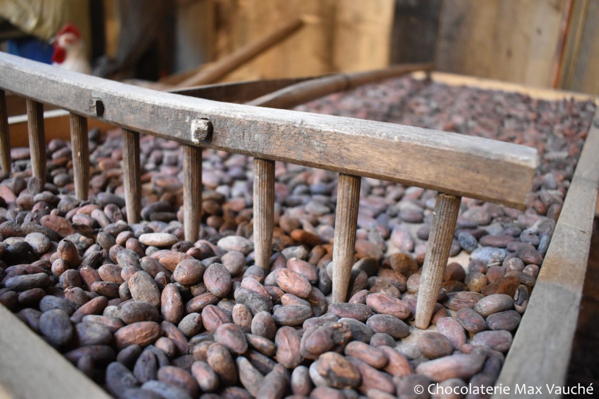 Chocolaterie Max Vauché, Découvrez la transformation du chocolat