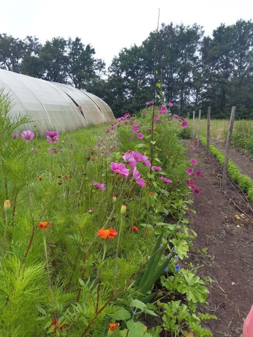 Le Jardin bio
