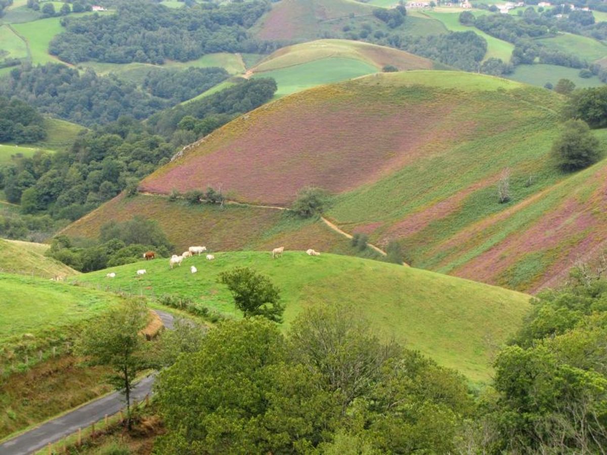 La Vallée des Aldudes
