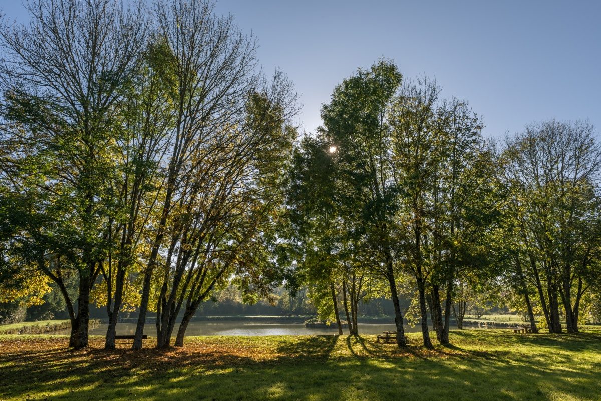 Aire de Pique-Nique, Étang municipal, Neuvy-Deux-Clochers