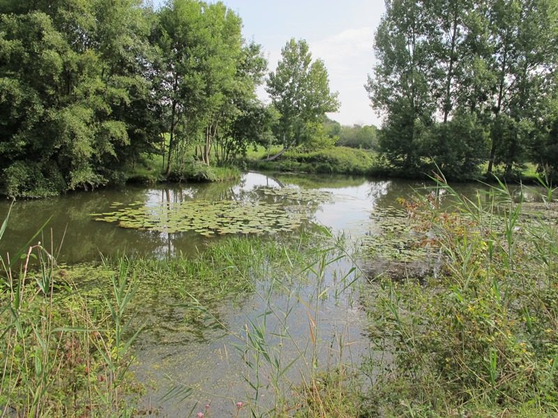 Les prés du canal