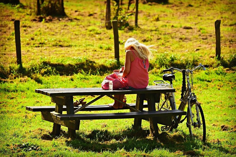 Aire de pique-nique du parc du Château