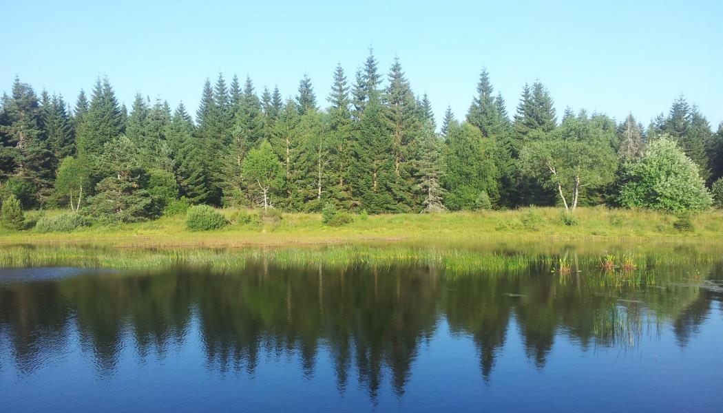 ETANG DE L'AURADOU