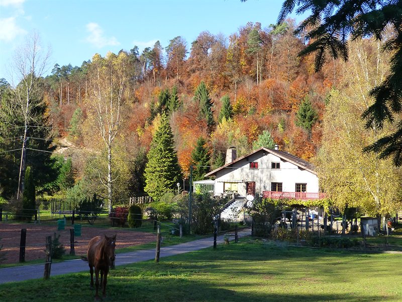 Domaine l'échappée verte