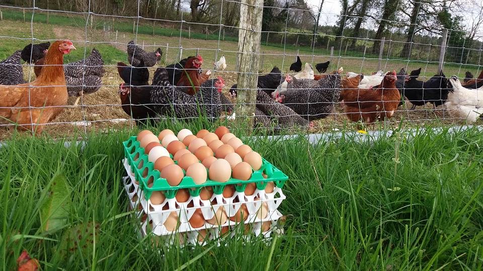 La Ferme d'Enea