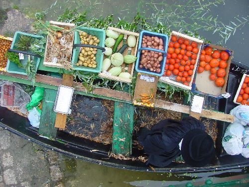 Le Vanneau-Irleau et son marché sur l'eau