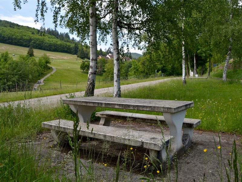 Aire de pique-nique - Sur la route du golf