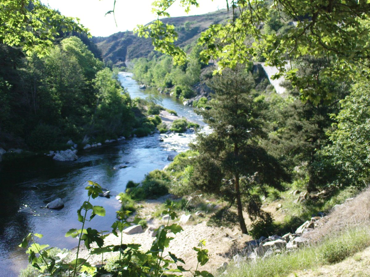 GORGES DU HAUT-ALLIER