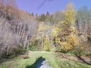 Aire de pique nique Col de Sainte-Marie-aux-Mines