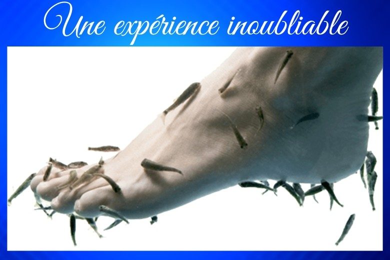 Happy Feet Fish Spa