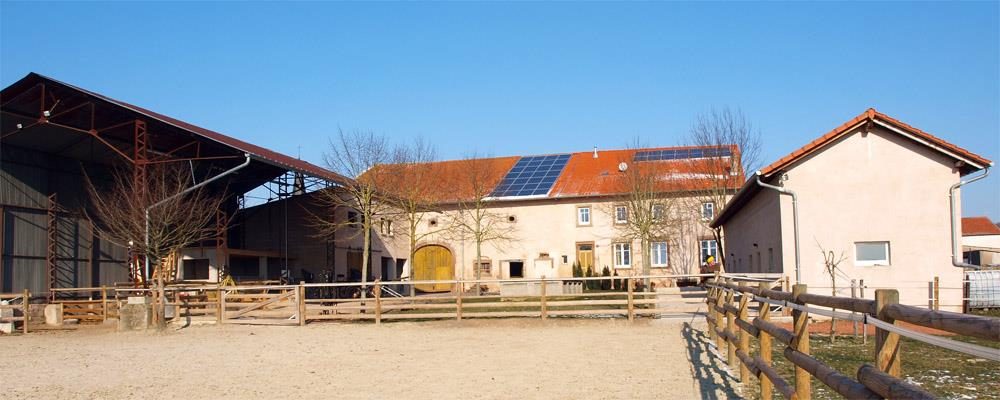 Relais équestre