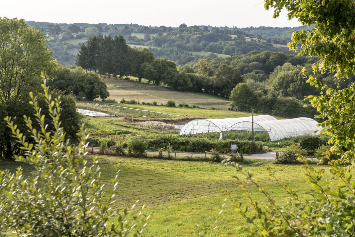 Ferme agroecologique"Courgette et Poulette"