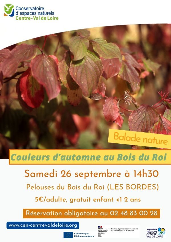 Couleurs d'automne