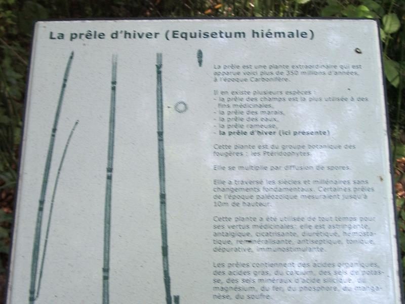 Site du Herapel