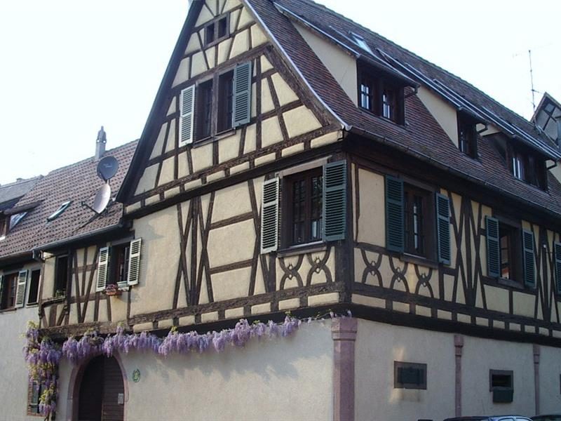 Monsieur SCHMITT Serge - Gite Vignoble