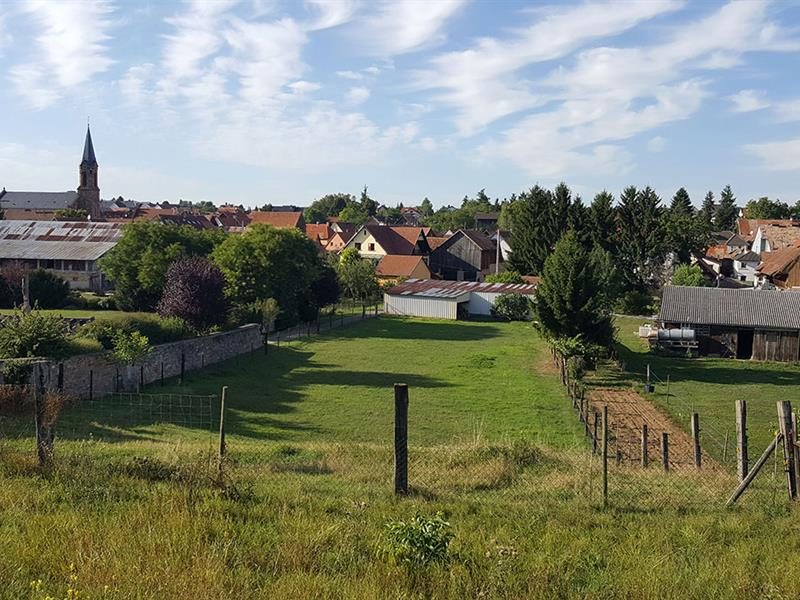 Griesheim-près-Molsheim