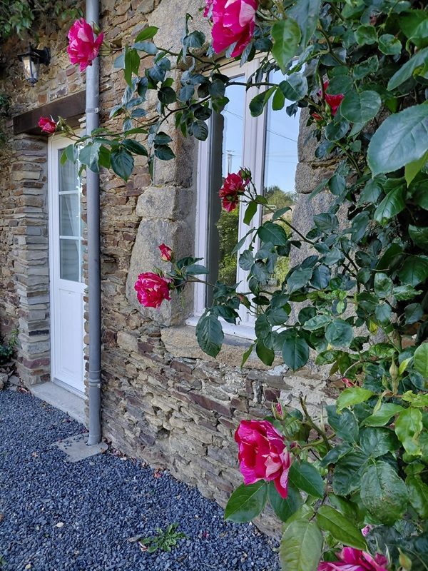 Clévacances H8683 : Gîte des Hortensias