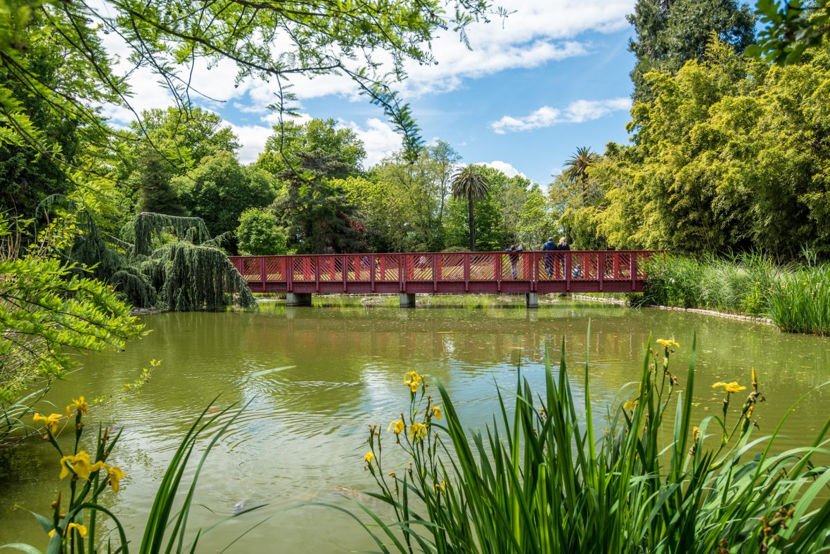 LE JARDIN DES PLANTES DES CAPELLANS