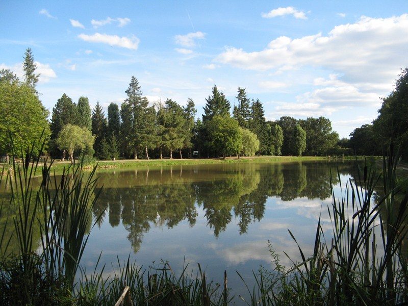 Aire Naturelle Municipale Les Farnaults