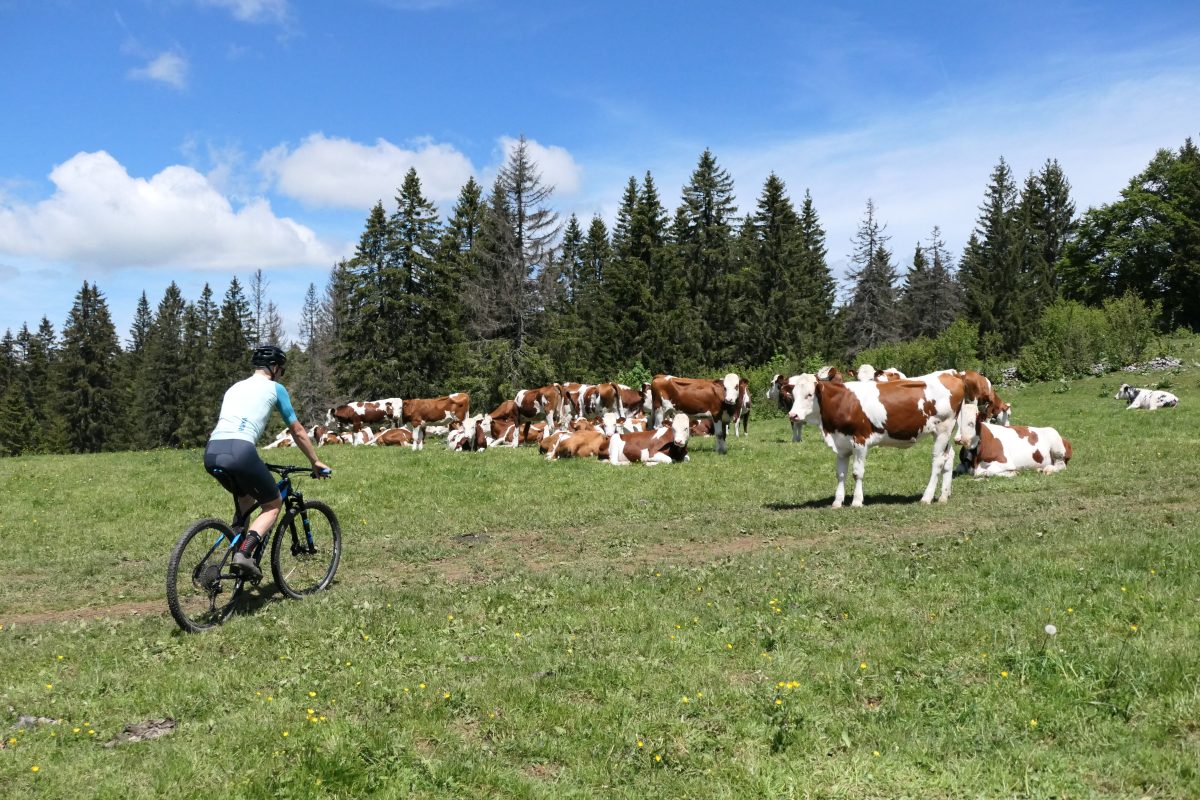 VTT | Vél'O Plaisir