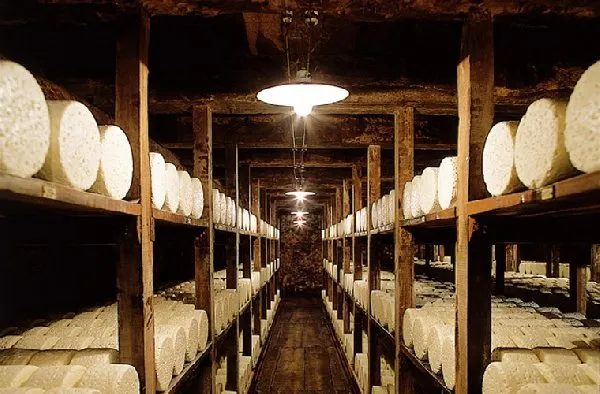 Caves Roquefort Société (groupes)