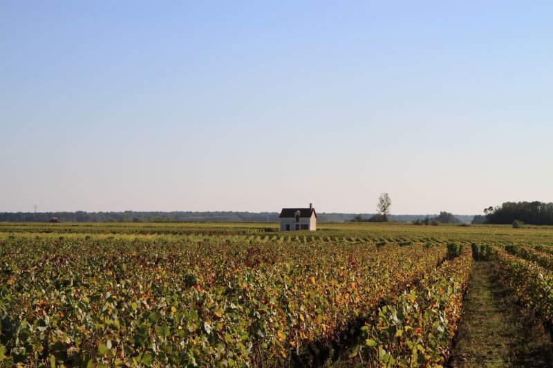Aire de camping-cars (Vignobles Jourdain)