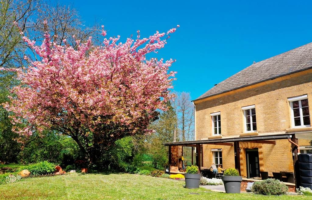 Gîte le Moulin de Warnécourt