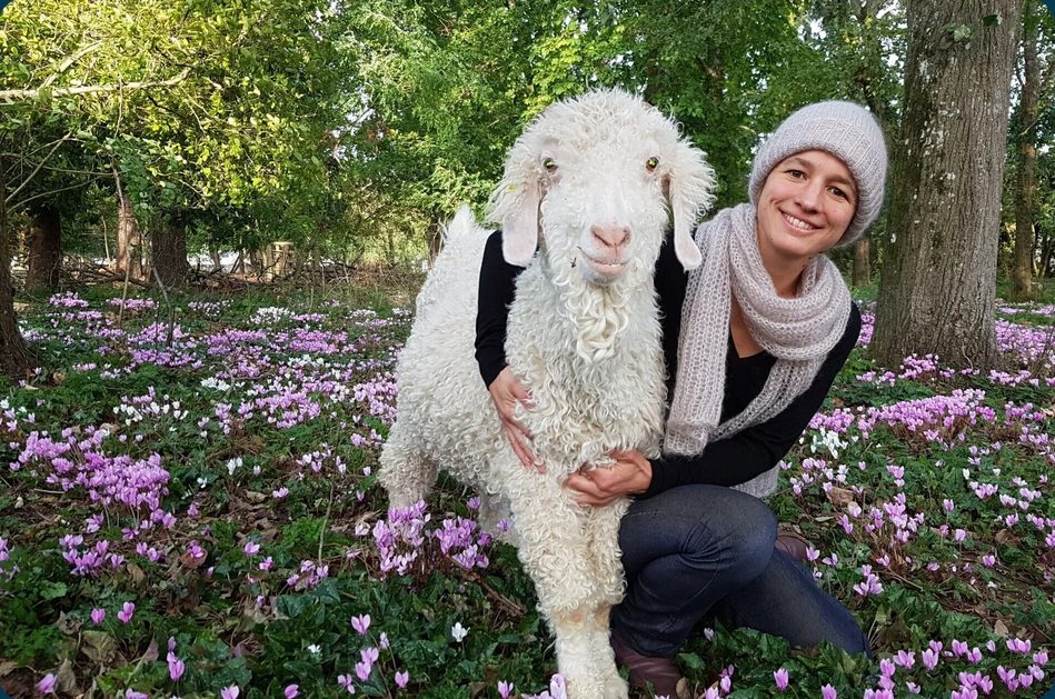 La Fée Mohair