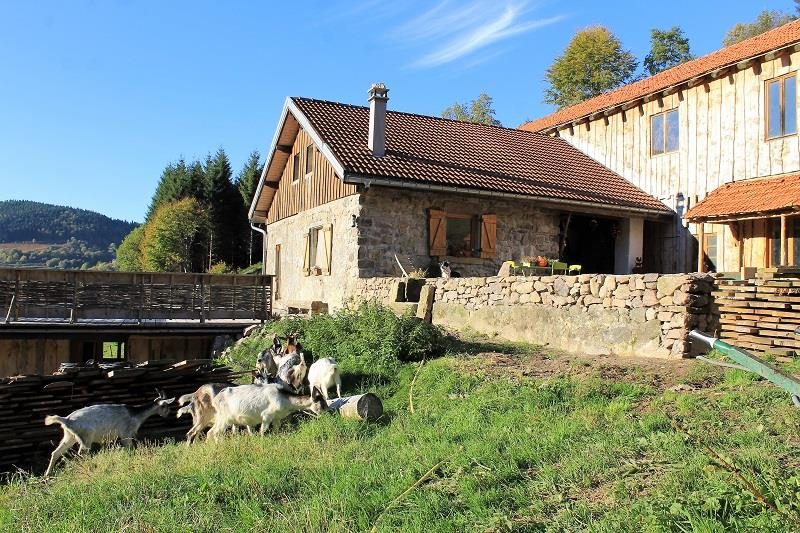 Ferme de Noiregoutte