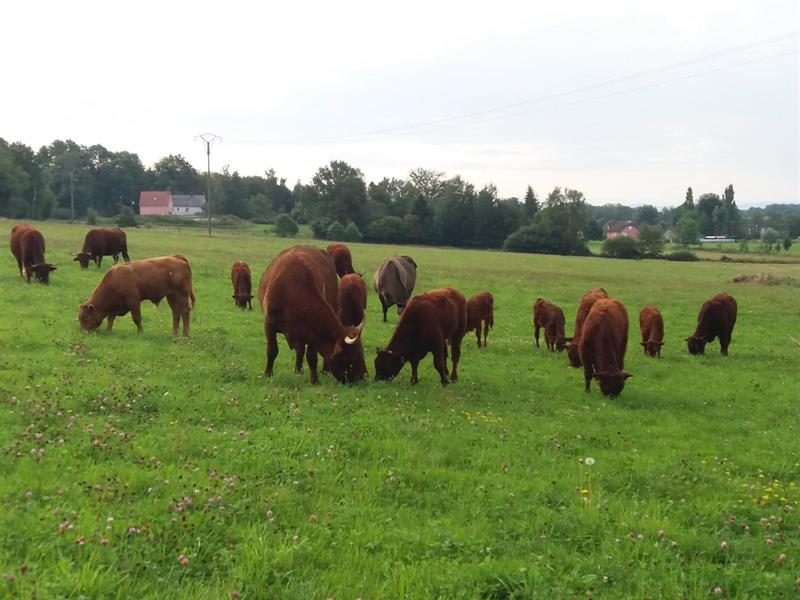 Ferme Gautherat