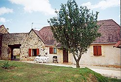 Le rosier