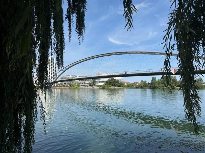 Passerelle des Trois Pays