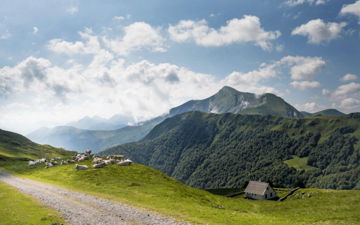 Forêt d'Iraty - paysages et panoramas