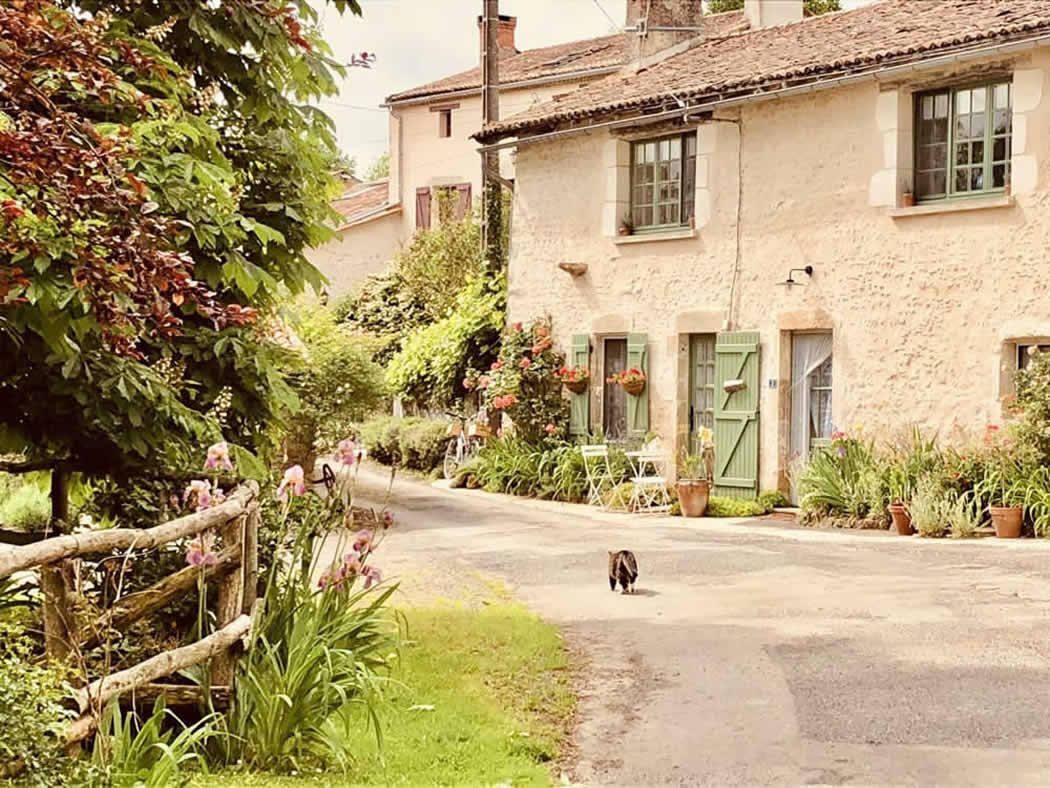 Bois Mort Farm - Chez Aline
