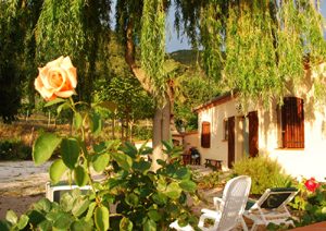 APPARTEMENT CONFORT