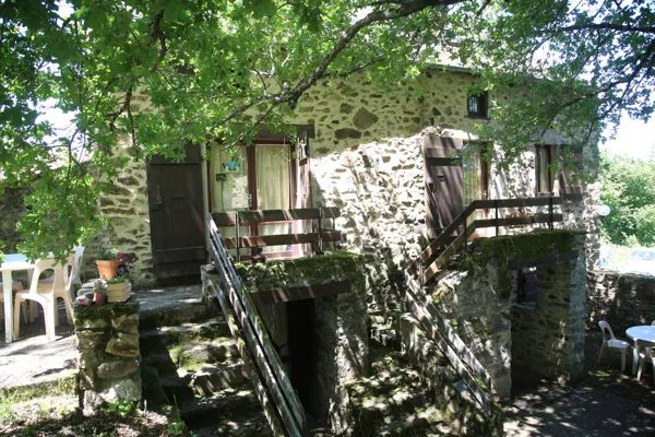 Lo Fau
