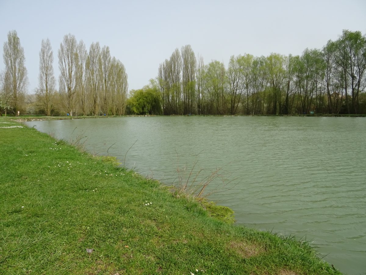 Etang de Mercure