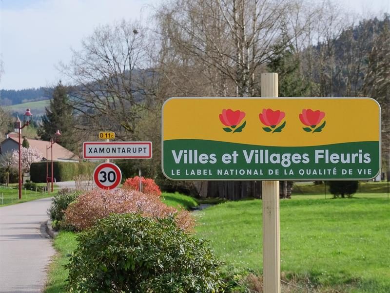 Commune de Xamontarupt