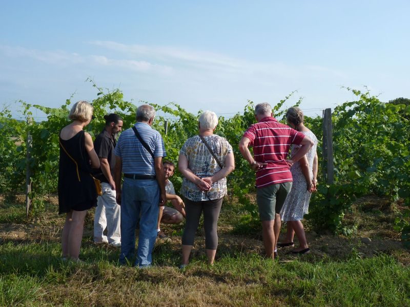 Apéro vigneron bio, au domaine Clos Basté