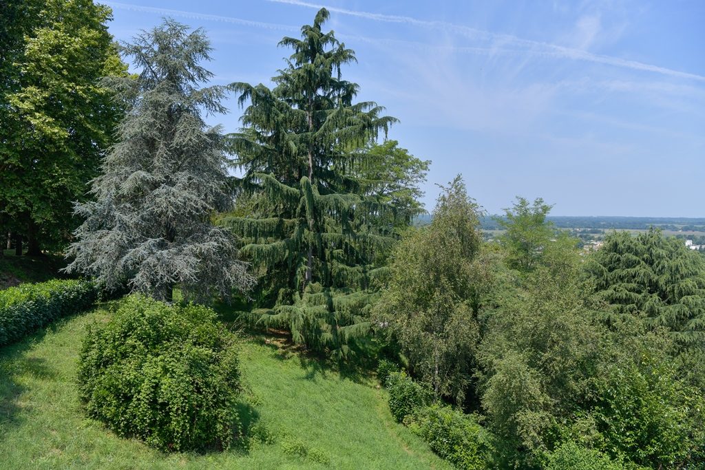 Oppidum de Morlanne