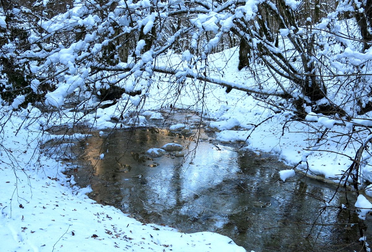 La source Bleue